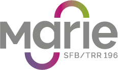 Mobile Material Characterization and Localization by Electromagnetic Sensing (MARIE) Collaborative Research Centre / Transregio 196, 